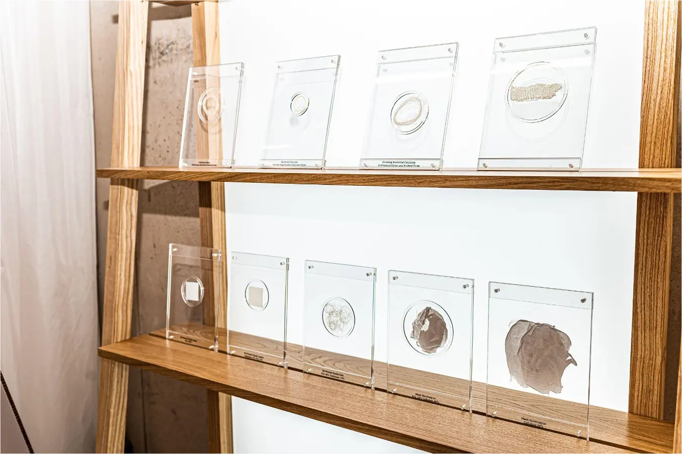 Bio-based textile samples presented in transparent cases on a display table