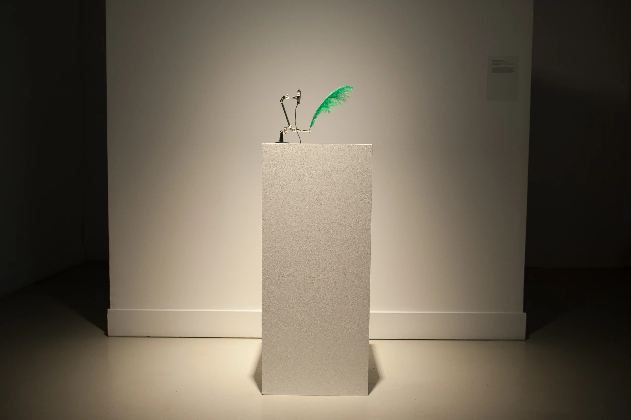 Do You Dream About Me? displayed with a green feather on a white plinth at MAC A Coruña