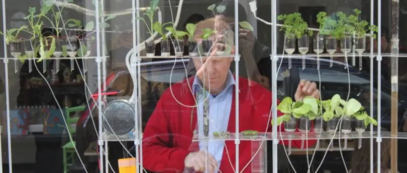 Plantas Parlantes installation with living plants, transparent vessels, water tubing and electronic connections