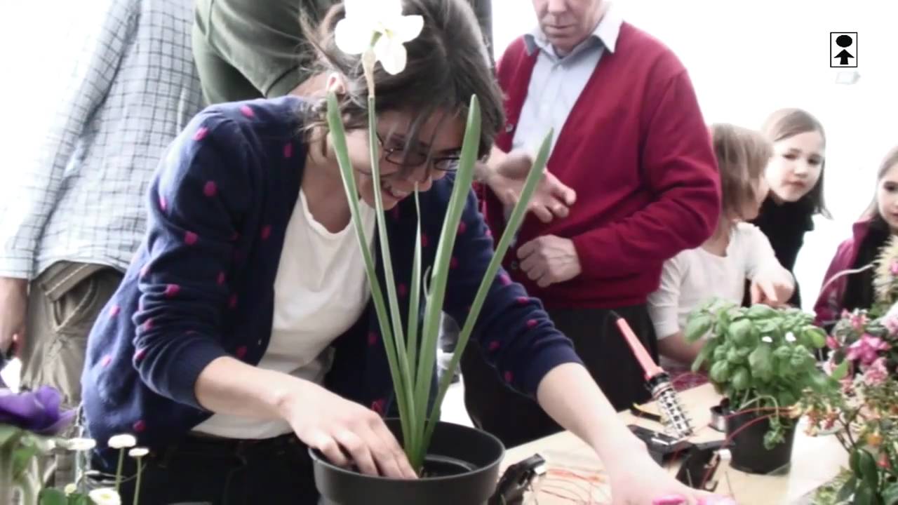 A workshop participant connecting a potted plant to the Plantas Parlantes sound system